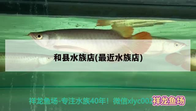 和县水族店(最近水族店)