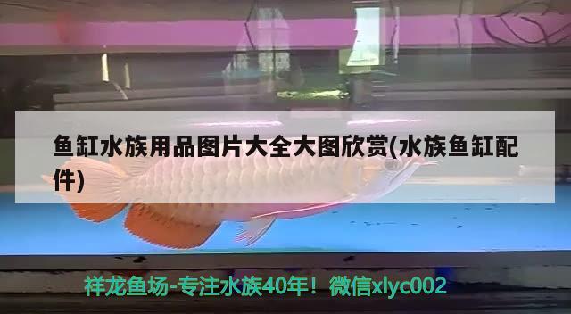 鱼缸水族用品图片大全大图欣赏(水族鱼缸配件)