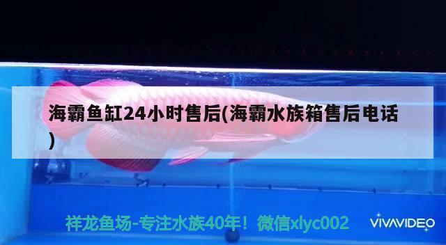 海霸鱼缸24小时售后(海霸水族箱售后电话)