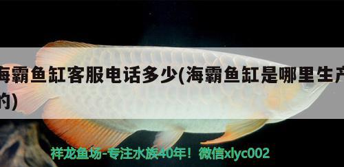 海霸鱼缸客服电话多少(海霸鱼缸是哪里生产的) 鱼缸百科