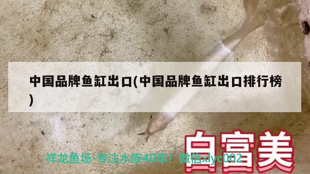 中国品牌鱼缸出口(中国品牌鱼缸出口排行榜)