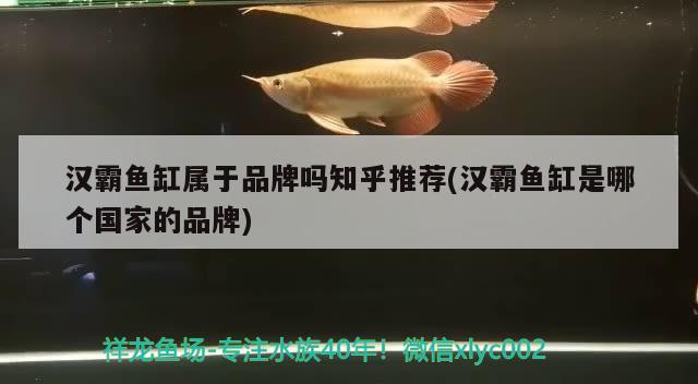 汉霸鱼缸属于品牌吗知乎推荐(汉霸鱼缸是哪个国家的品牌)