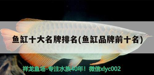 鱼缸十大名牌排名(鱼缸品牌前十名) 鱼缸百科