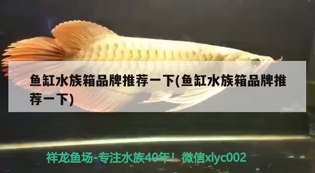 鱼缸水族箱品牌推荐一下(鱼缸水族箱品牌推荐一下) 鱼缸/水族箱