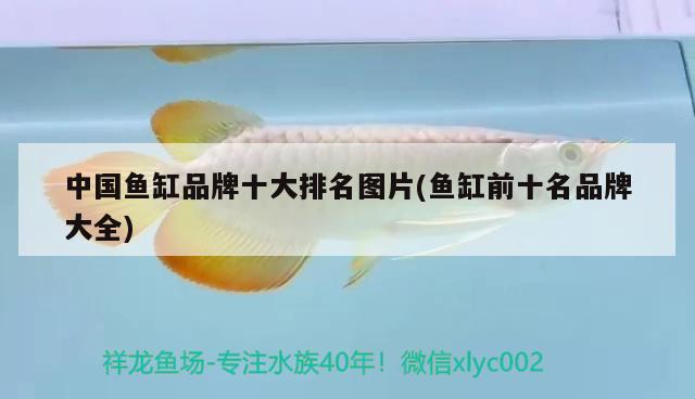 中国鱼缸品牌十大排名图片(鱼缸前十名品牌大全) 鱼缸