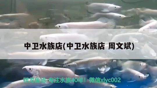 中卫水族店(中卫水族店周文斌)