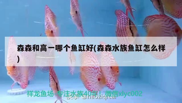 森森和高一哪个鱼缸好(森森水族鱼缸怎么样)