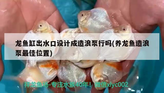 龙鱼缸出水口设计成造浪泵行吗(养龙鱼造浪泵最佳位置) 梦幻雷龙鱼