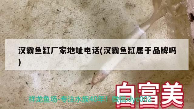 汉霸鱼缸厂家地址电话(汉霸鱼缸属于品牌吗)