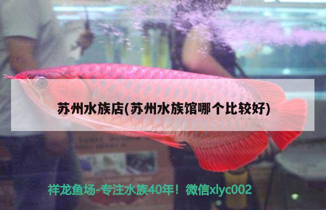 苏州水族店(苏州水族馆哪个比较好) 申古三间鱼