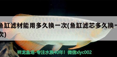 鱼缸滤材能用多久换一次(鱼缸滤芯多久换一次)