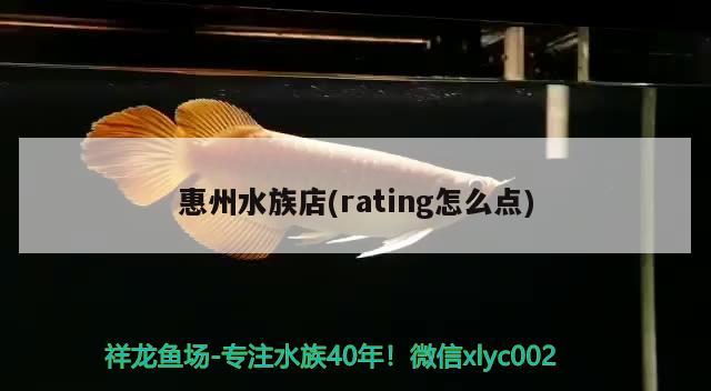 惠州水族店(rating怎么点) 观赏鱼进出口