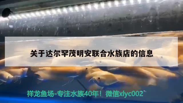 关于达尔罕茂明安联合水族店的信息 祥龙水族护理水