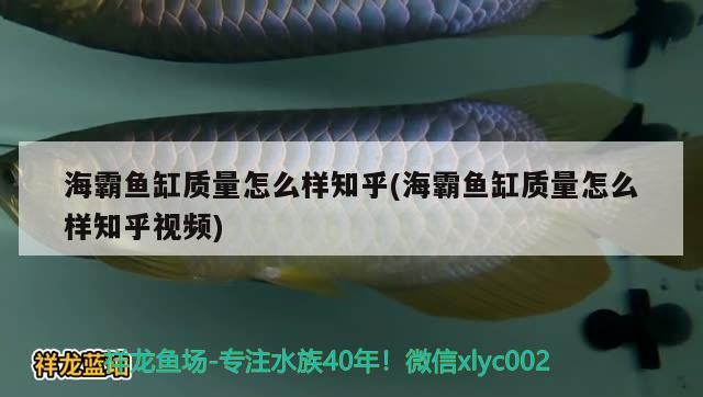 海霸鱼缸质量怎么样知乎(海霸鱼缸质量怎么样知乎视频) 鱼缸百科