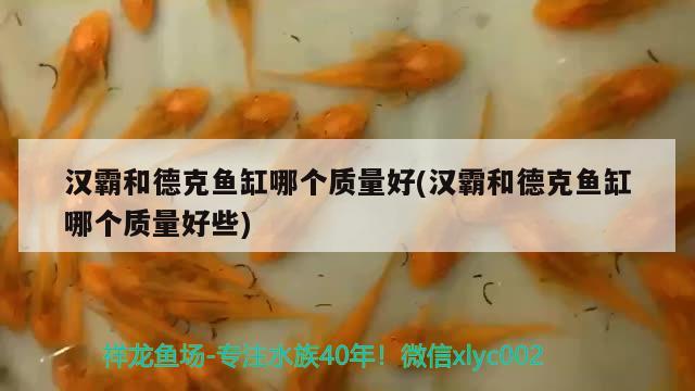 汉霸和德克鱼缸哪个质量好(汉霸和德克鱼缸哪个质量好些)