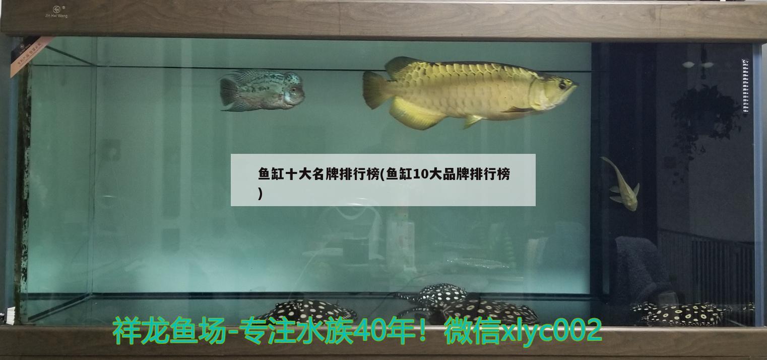 鱼缸十大名牌排行榜(鱼缸10大品牌排行榜) 鱼缸百科