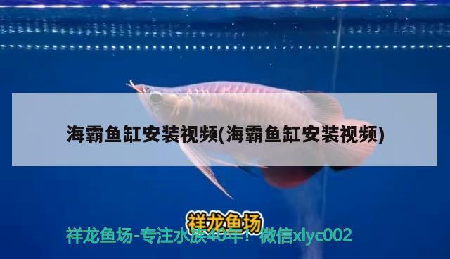 海霸鱼缸安装视频(海霸鱼缸安装视频)