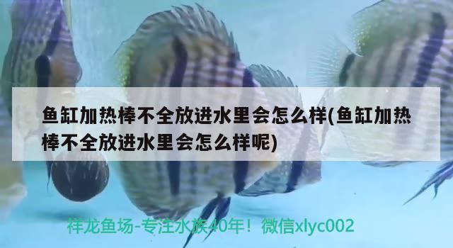 鱼缸加热棒不全放进水里会怎么样(鱼缸加热棒不全放进水里会怎么样呢)