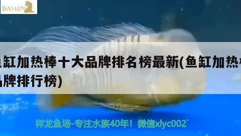 鱼缸加热棒十大品牌排名榜最新(鱼缸加热棒品牌排行榜) 彩鲽鱼缸（彩蝶鱼缸）