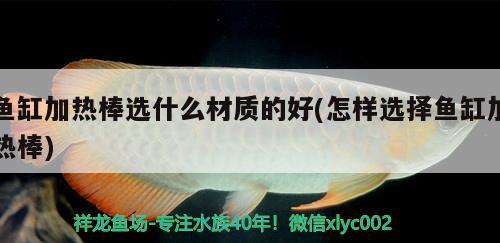 鱼缸加热棒选什么材质的好(怎样选择鱼缸加热棒) 印尼红龙鱼