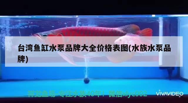 台湾鱼缸水泵品牌大全价格表图(水族水泵品牌)