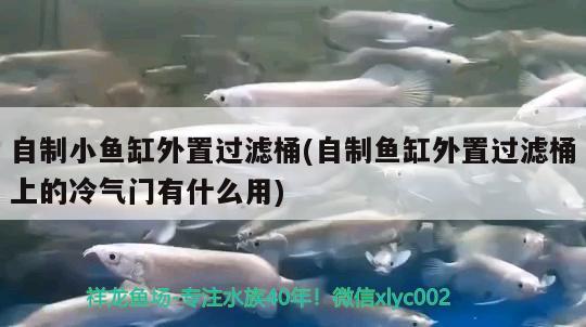 自制小鱼缸外置过滤桶(自制鱼缸外置过滤桶上的冷气门有什么用)