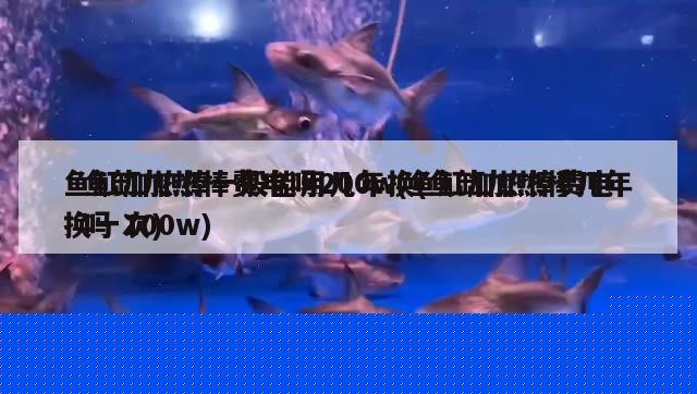 鱼缸加热棒费电吗200w(鱼缸加热棒费电吗100w) 纯血皇冠黑白魟鱼