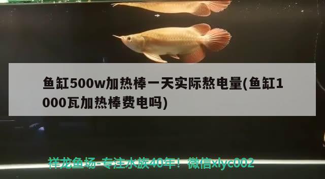 鱼缸500w加热棒一天实际熬电量(鱼缸1000瓦加热棒费电吗) 蓝帆三间鱼