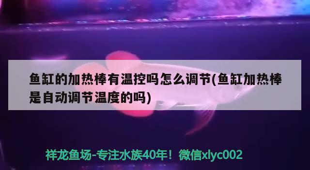 鱼缸的加热棒有温控吗怎么调节(鱼缸加热棒是自动调节温度的吗)