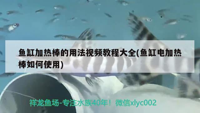 鱼缸加热棒的用法视频教程大全(鱼缸电加热棒如何使用) 月光鸭嘴鱼苗