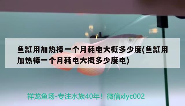 鱼缸用加热棒一个月耗电大概多少度(鱼缸用加热棒一个月耗电大概多少度电) 黑白双星