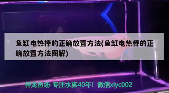 鱼缸电热棒的正确放置方法(鱼缸电热棒的正确放置方法图解) 皇冠黑白魟鱼