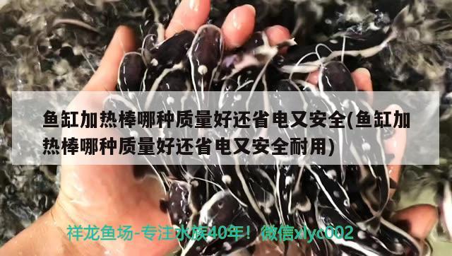 鱼缸加热棒哪种质量好还省电又安全(鱼缸加热棒哪种质量好还省电又安全耐用)