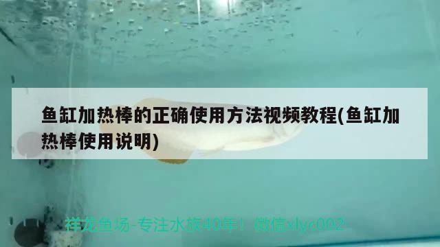 鱼缸加热棒的正确使用方法视频教程(鱼缸加热棒使用说明) 充氧泵