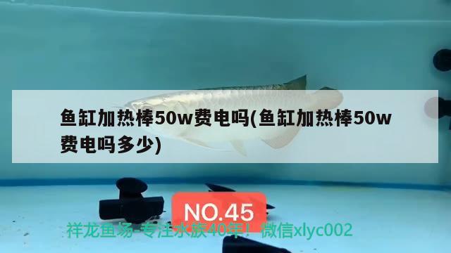 鱼缸加热棒50w费电吗(鱼缸加热棒50w费电吗多少) 斑马狗头鱼