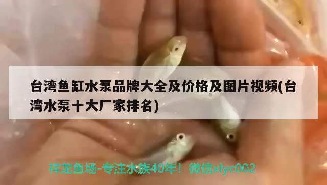 台湾鱼缸水泵品牌大全及价格及图片视频(台湾水泵十大厂家排名)