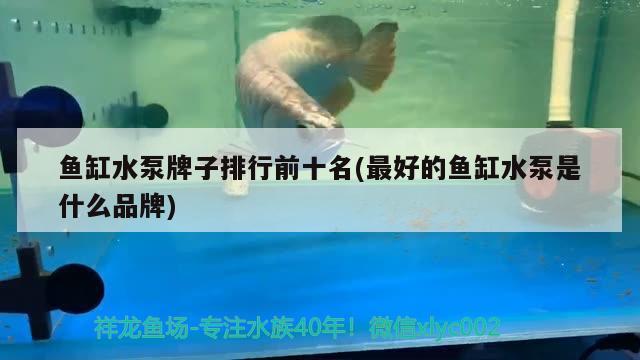 鱼缸水泵牌子排行前十名(最好的鱼缸水泵是什么品牌)