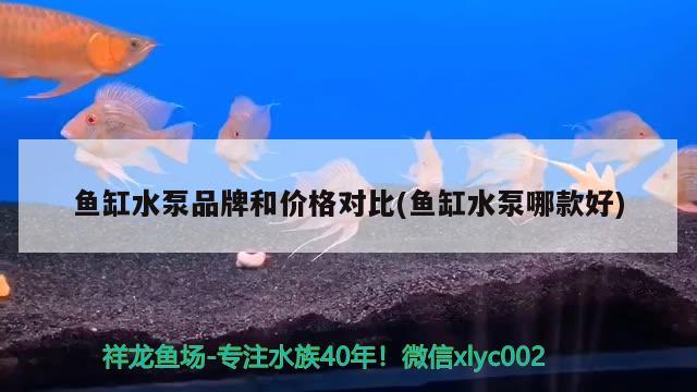 鱼缸水泵品牌和价格对比(鱼缸水泵哪款好)