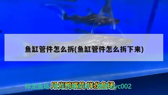 鱼缸管件怎么拆(鱼缸管件怎么拆下来) 广州龙鱼批发市场