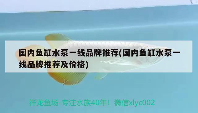 国内鱼缸水泵一线品牌推荐(国内鱼缸水泵一线品牌推荐及价格)