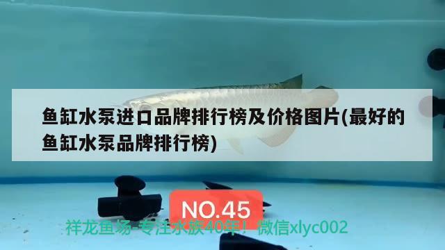 鱼缸水泵进口品牌排行榜及价格图片(最好的鱼缸水泵品牌排行榜)