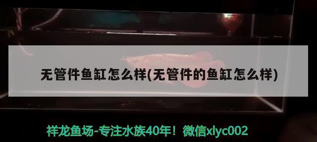 无管件鱼缸怎么样(无管件的鱼缸怎么样)