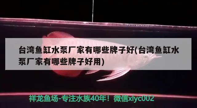 台湾鱼缸水泵厂家有哪些牌子好(台湾鱼缸水泵厂家有哪些牌子好用)