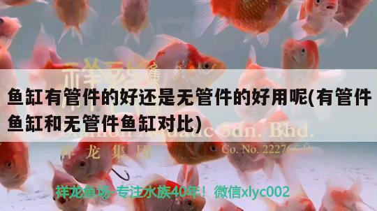 鱼缸有管件的好还是无管件的好用呢(有管件鱼缸和无管件鱼缸对比)