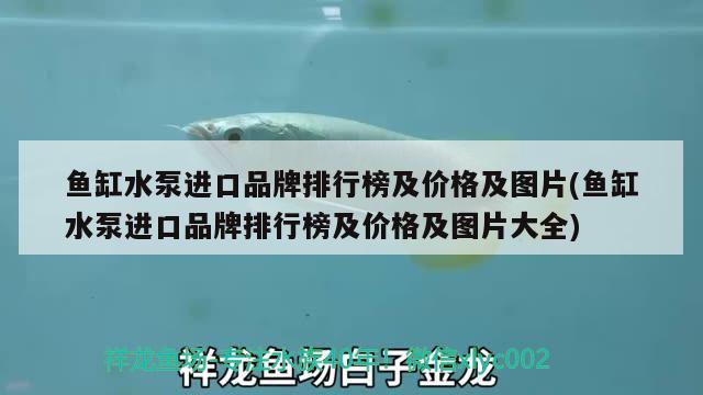 鱼缸水泵进口品牌排行榜及价格及图片(鱼缸水泵进口品牌排行榜及价格及图片大全)