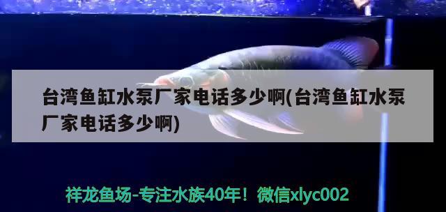 台湾鱼缸水泵厂家电话多少啊(台湾鱼缸水泵厂家电话多少啊) 鱼缸水泵