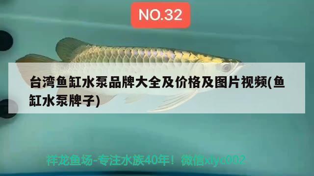 台湾鱼缸水泵品牌大全及价格及图片视频(鱼缸水泵牌子) 鱼缸水泵