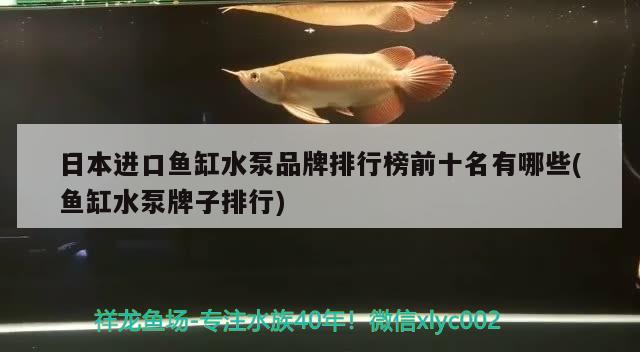 日本进口鱼缸水泵品牌排行榜前十名有哪些(鱼缸水泵牌子排行) 鱼缸水泵