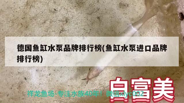 德国鱼缸水泵品牌排行榜(鱼缸水泵进口品牌排行榜)