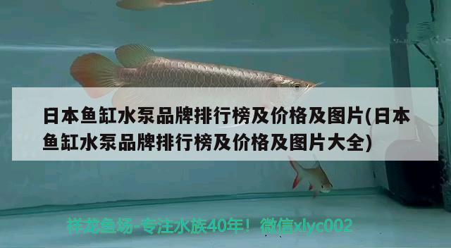 日本鱼缸水泵品牌排行榜及价格及图片(日本鱼缸水泵品牌排行榜及价格及图片大全) 鱼缸水泵